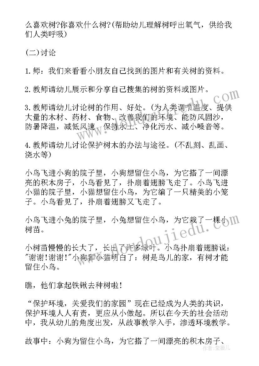 2023年大班科学活动影子教案 大班科学领域活动教案(模板8篇)