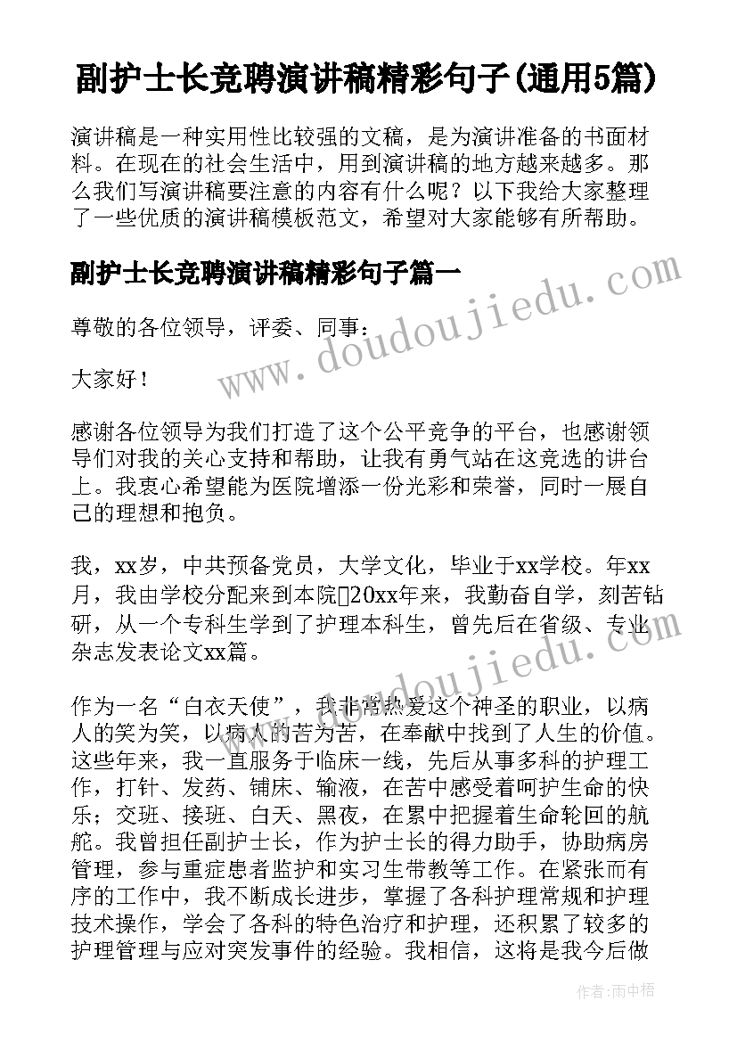 副护士长竞聘演讲稿精彩句子(通用5篇)