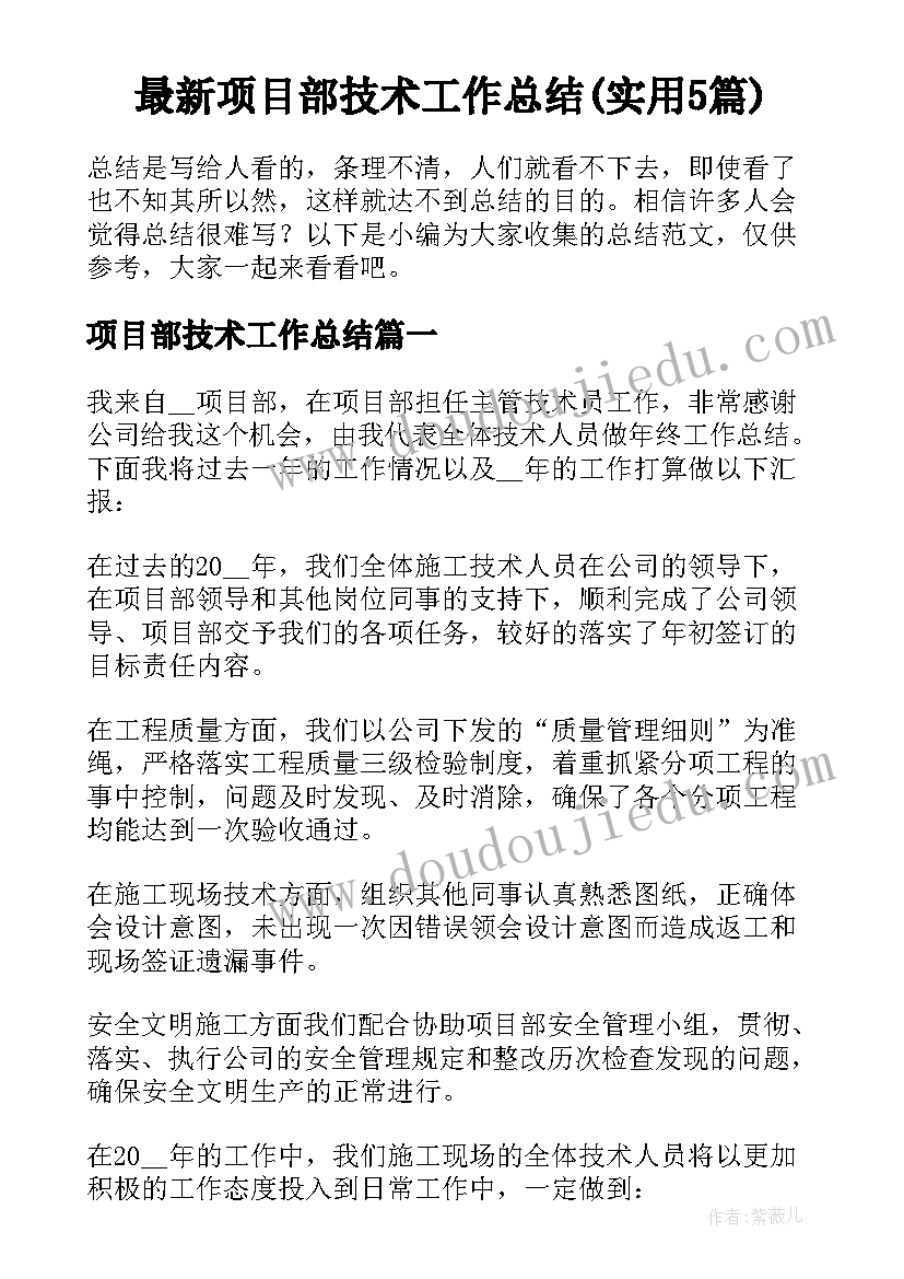 最新项目部技术工作总结(实用5篇)