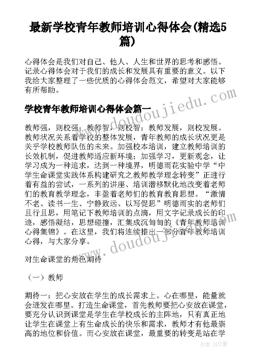 最新学校青年教师培训心得体会(精选5篇)