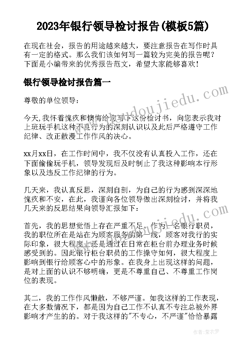 2023年银行领导检讨报告(模板5篇)