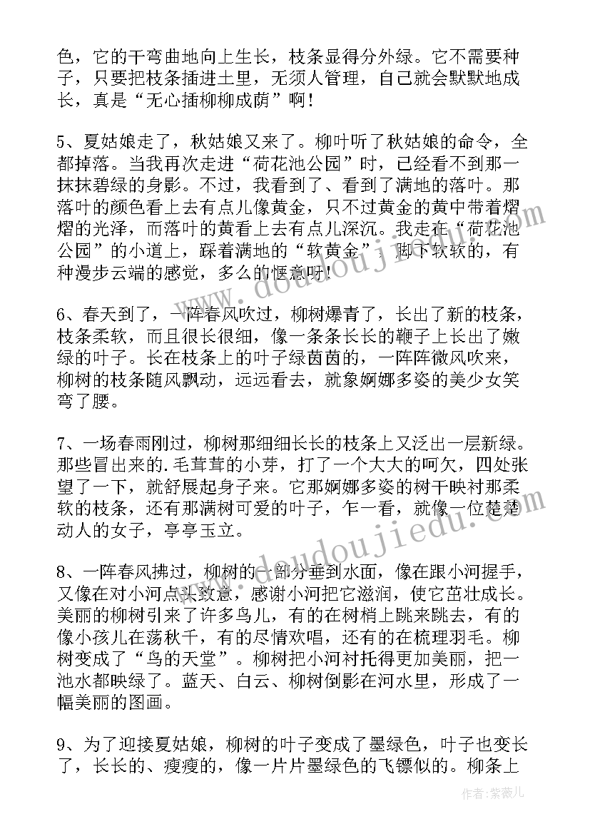 春天柳树段落摘抄 写春天柳树的段落(通用5篇)