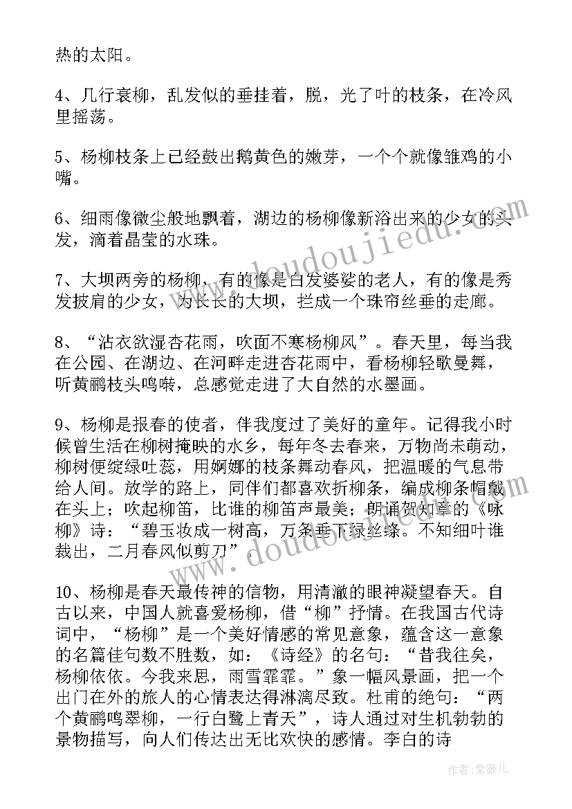 春天柳树段落摘抄 写春天柳树的段落(通用5篇)