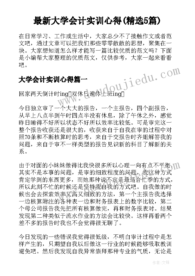 最新大学会计实训心得(精选5篇)