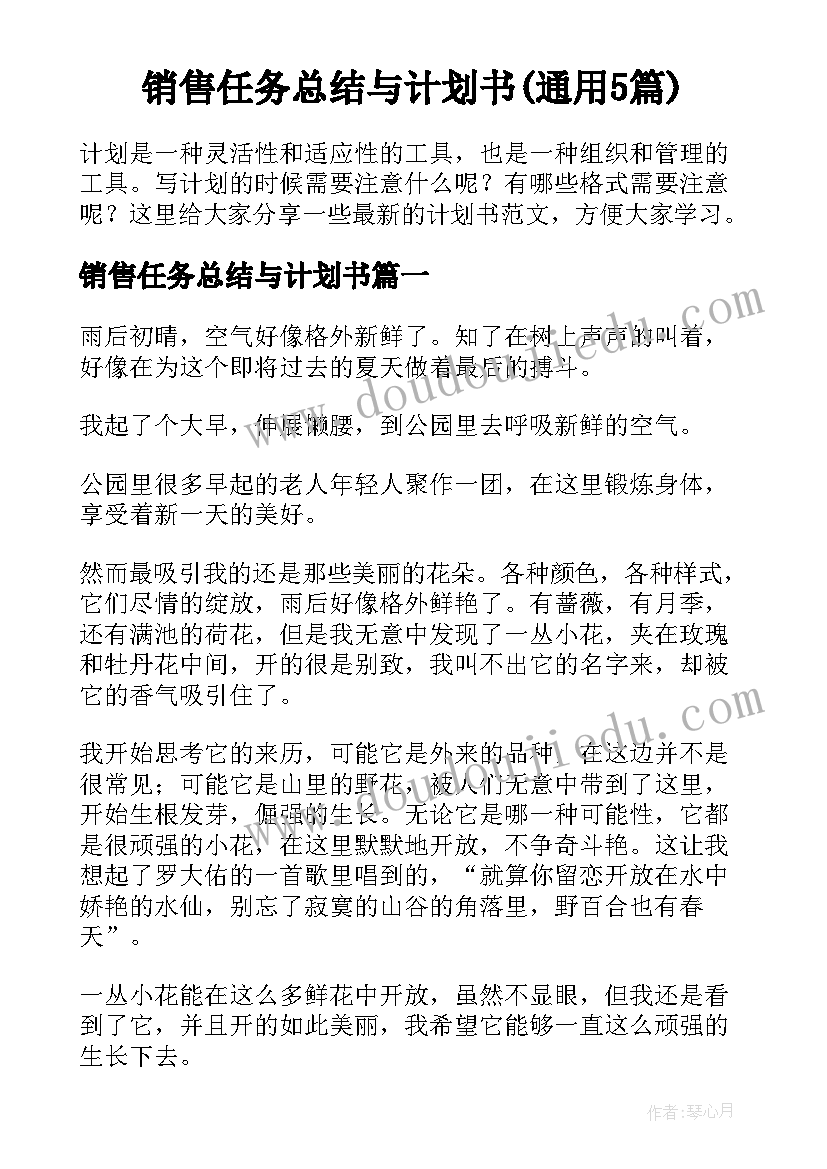 销售任务总结与计划书(通用5篇)