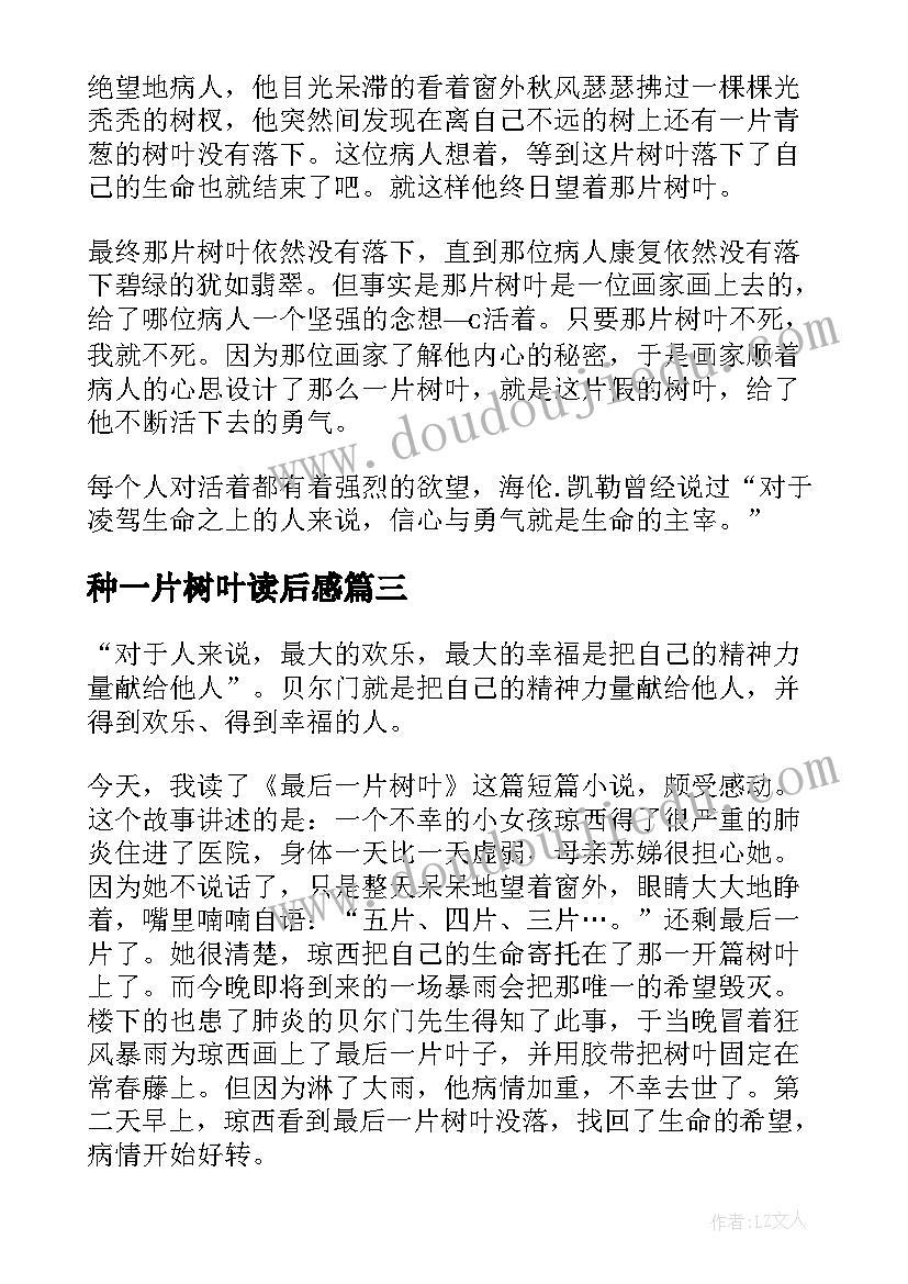 最新种一片树叶读后感(模板5篇)