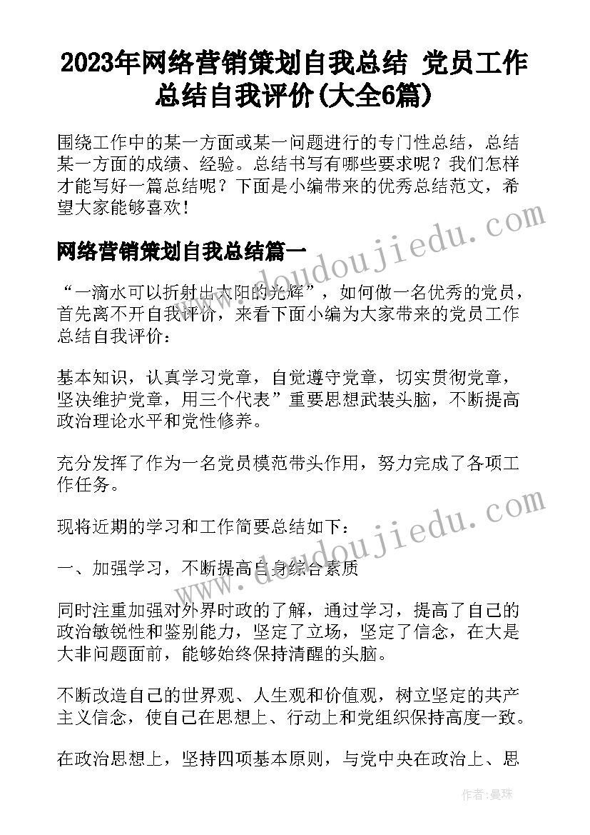 2023年网络营销策划自我总结 党员工作总结自我评价(大全6篇)