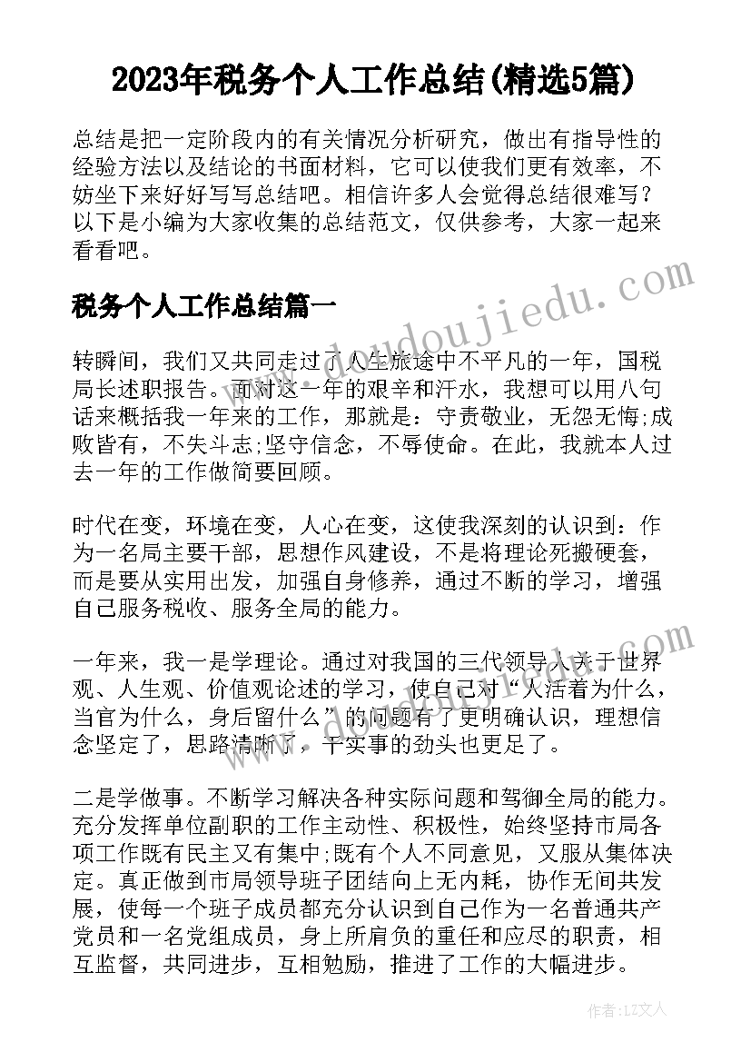 2023年税务个人工作总结(精选5篇)