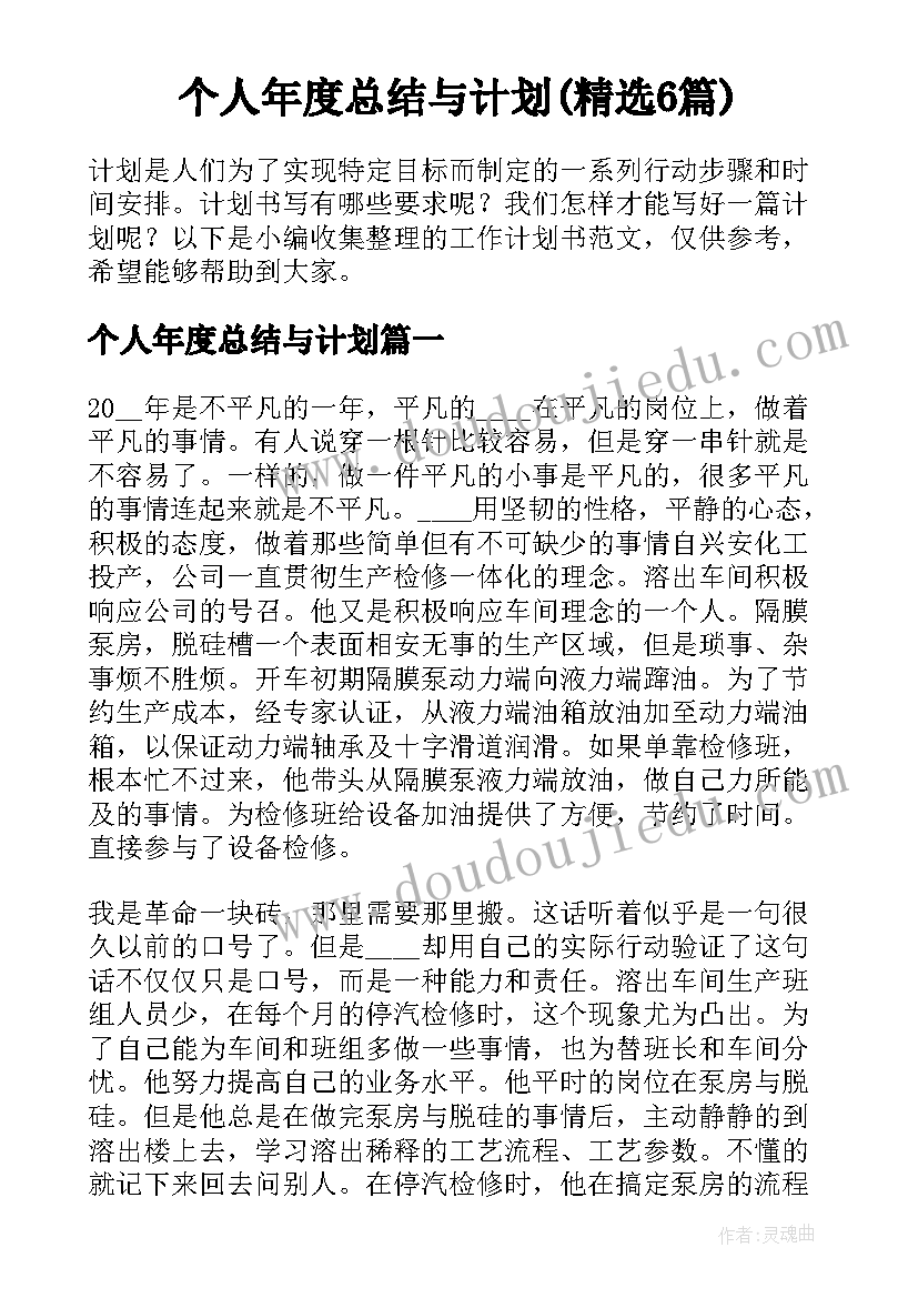 个人年度总结与计划(精选6篇)