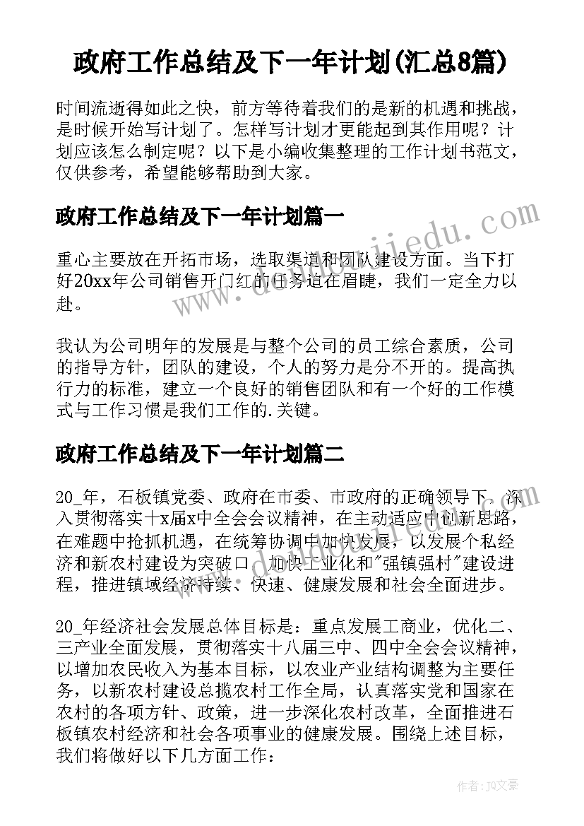 政府工作总结及下一年计划(汇总8篇)