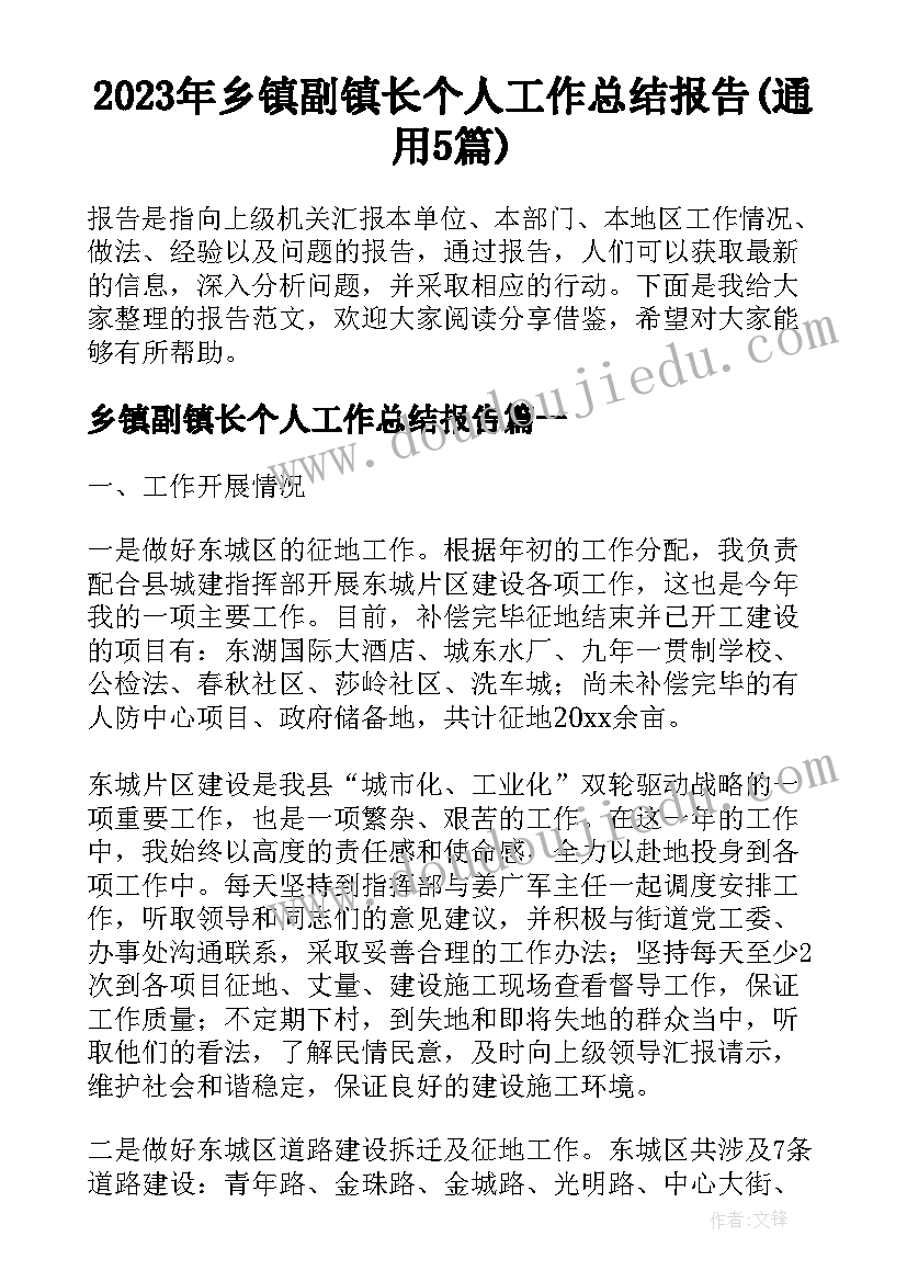 2023年乡镇副镇长个人工作总结报告(通用5篇)