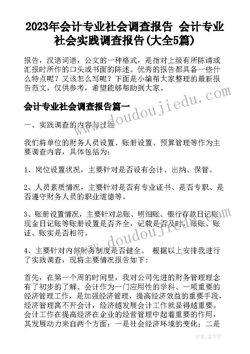 2023年会计专业社会调查报告 会计专业社会实践调查报告(大全5篇)