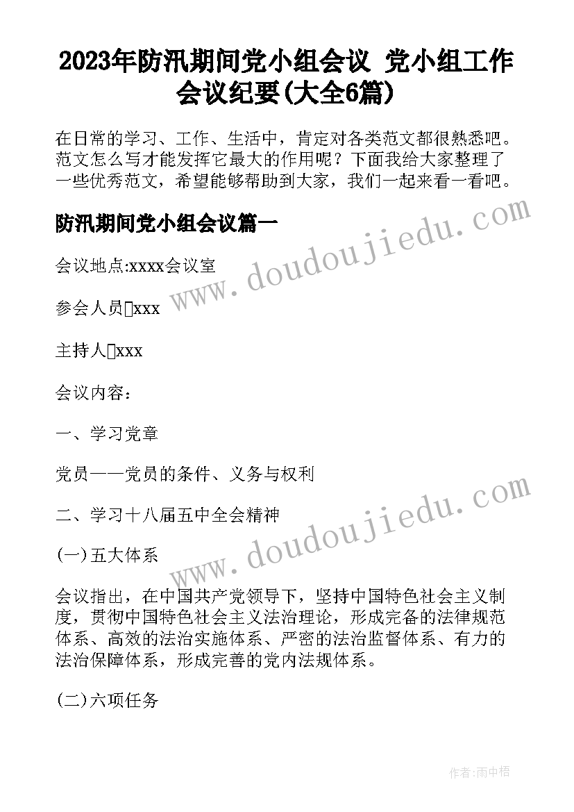 2023年防汛期间党小组会议 党小组工作会议纪要(大全6篇)