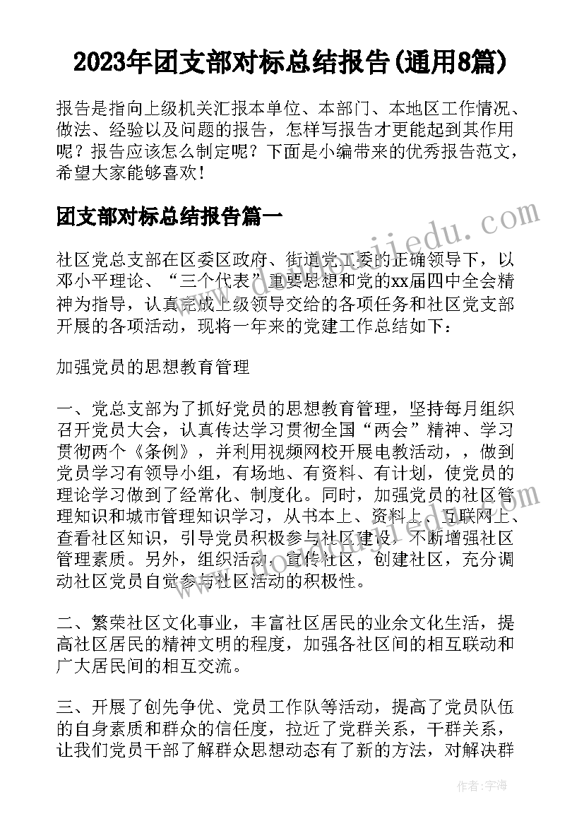 2023年团支部对标总结报告(通用8篇)