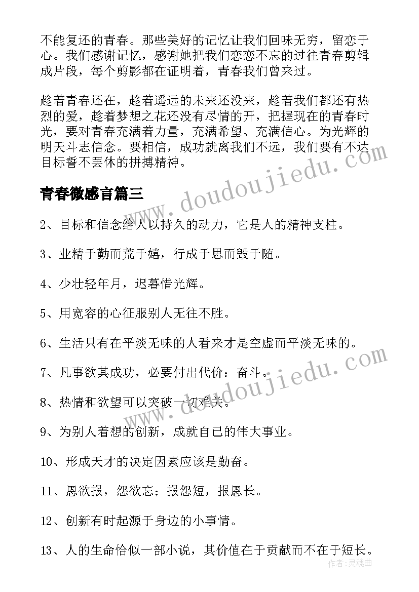 2023年青春微感言 青春感言心得体会(模板6篇)