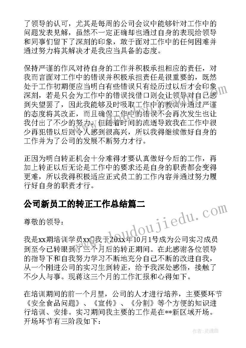 最新公司新员工的转正工作总结(精选8篇)