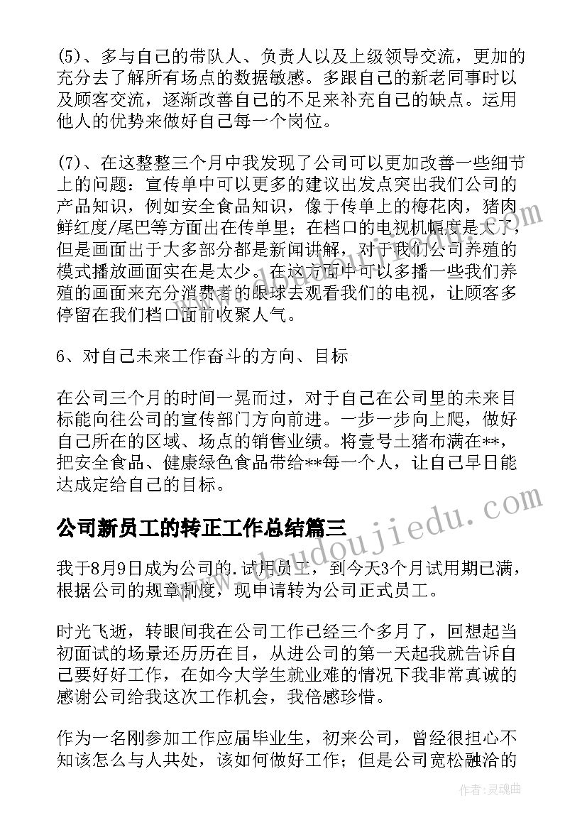 最新公司新员工的转正工作总结(精选8篇)