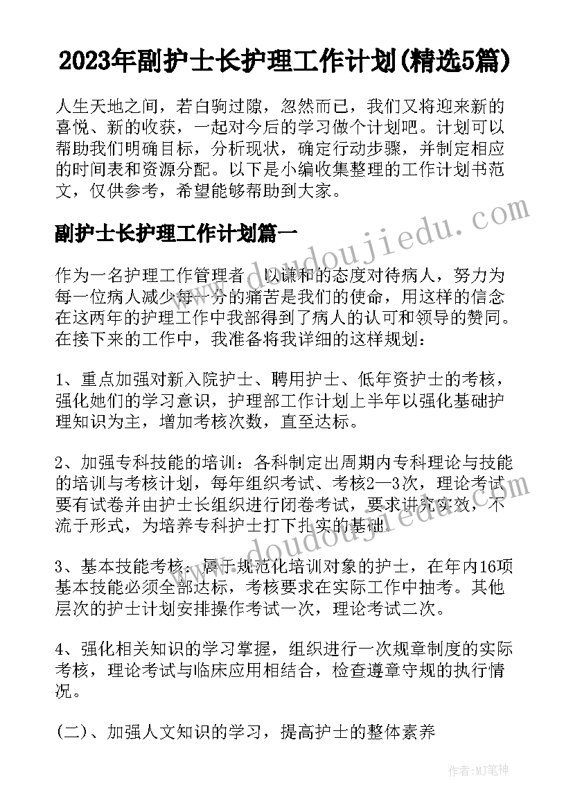 2023年副护士长护理工作计划(精选5篇)