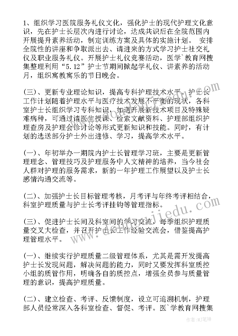 2023年副护士长护理工作计划(精选5篇)