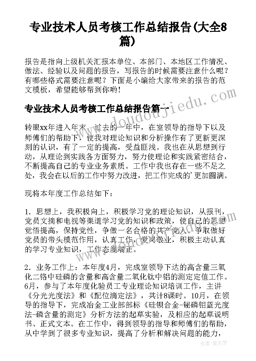 专业技术人员考核工作总结报告(大全8篇)