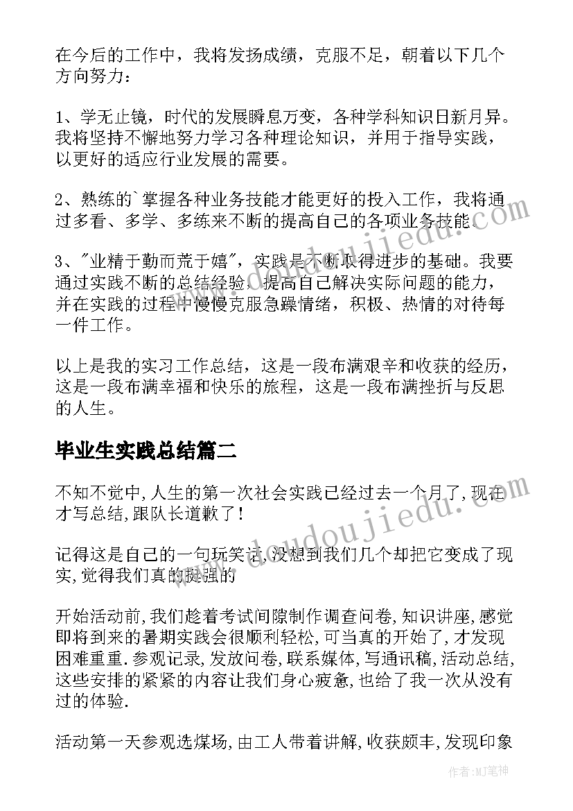 毕业生实践总结(实用5篇)