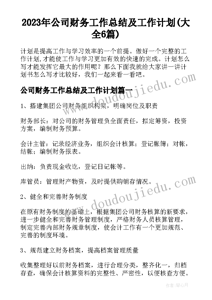 2023年公司财务工作总结及工作计划(大全6篇)