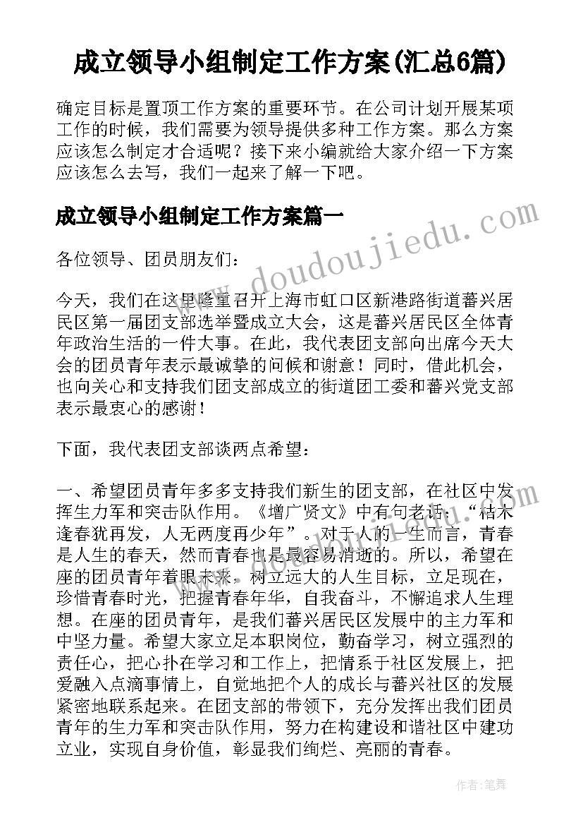 成立领导小组制定工作方案(汇总6篇)