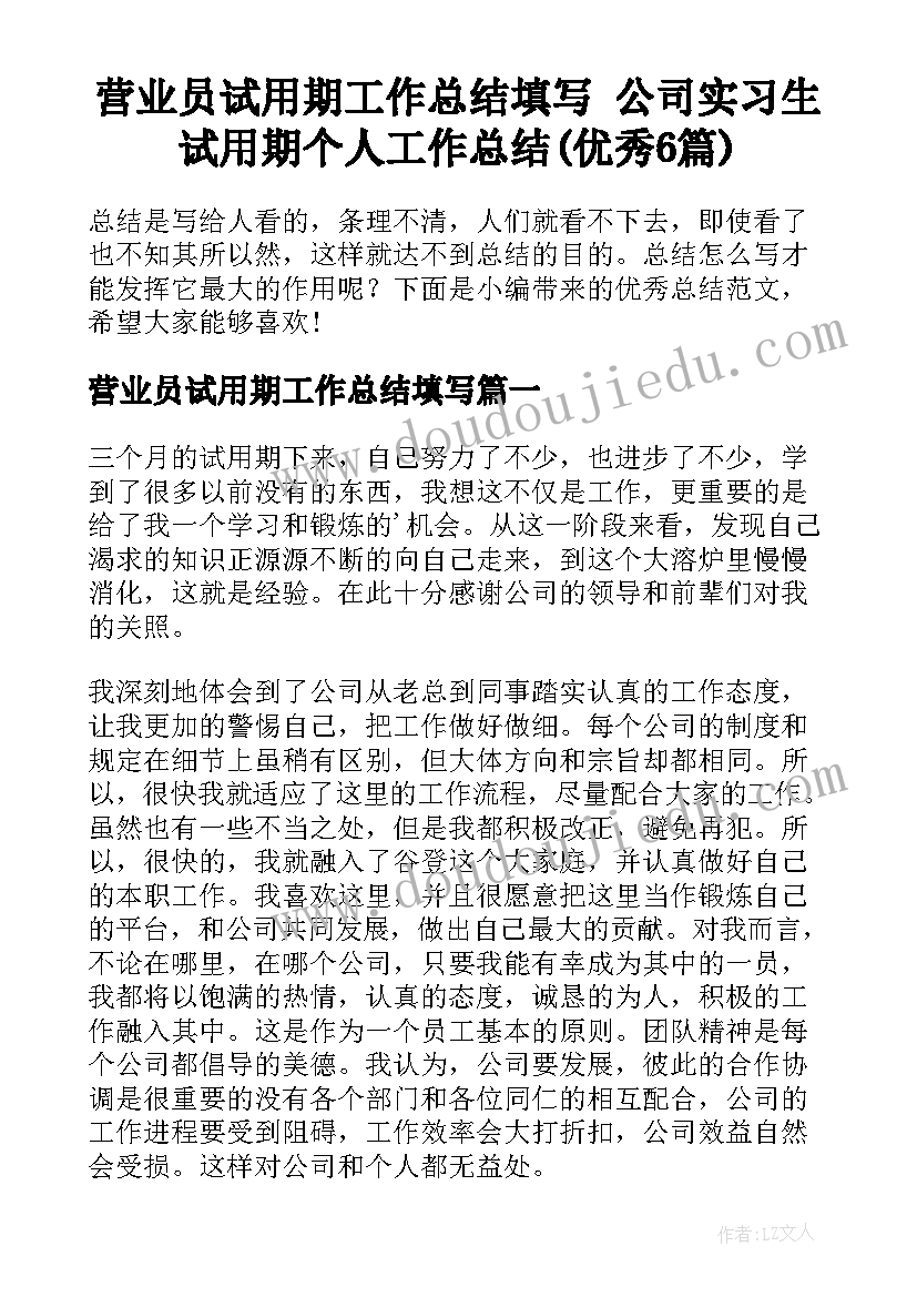 营业员试用期工作总结填写 公司实习生试用期个人工作总结(优秀6篇)