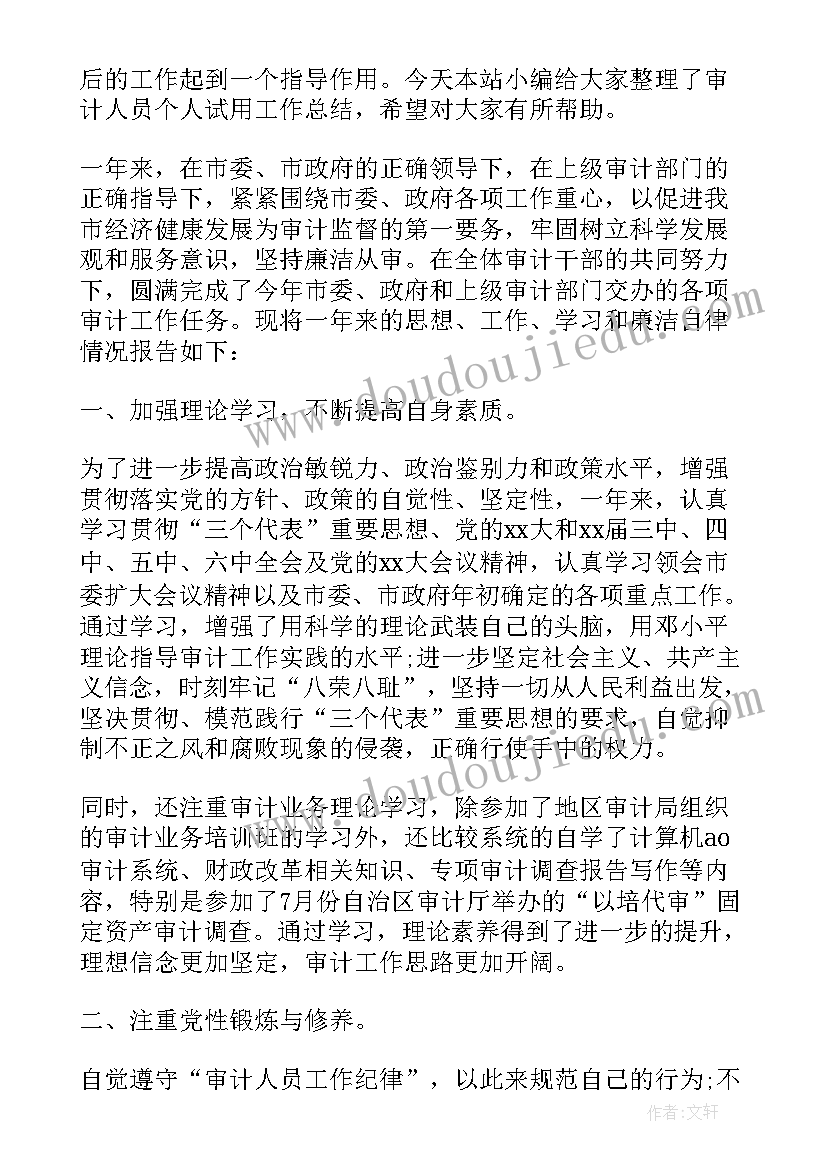 最新审计青年干部座谈会发言稿 审计人员个人工作总结报告(大全9篇)