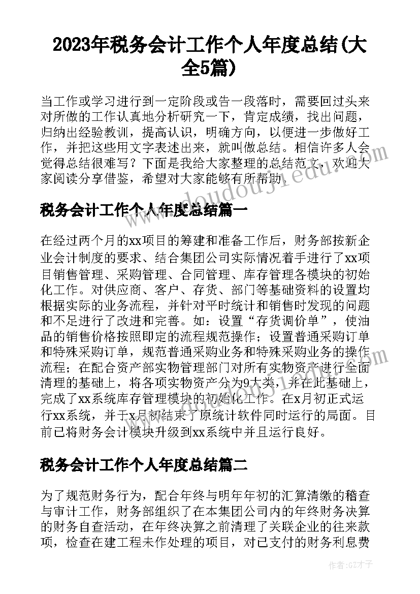 2023年税务会计工作个人年度总结(大全5篇)