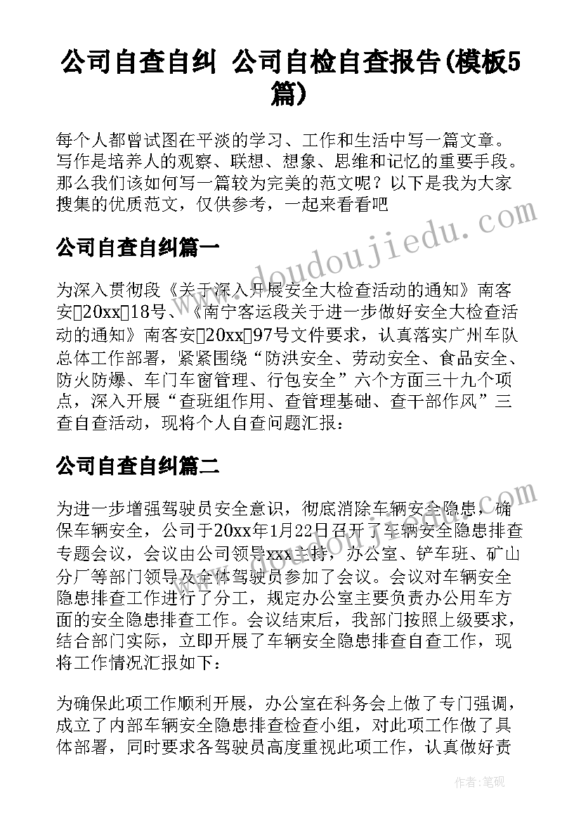 公司自查自纠 公司自检自查报告(模板5篇)