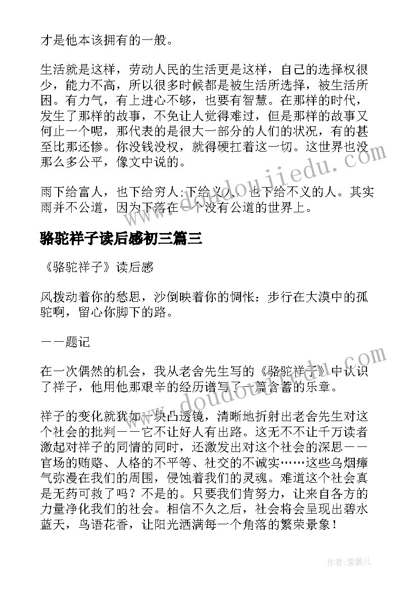 2023年骆驼祥子读后感初三 初三读后感骆驼祥子读后感(优质5篇)