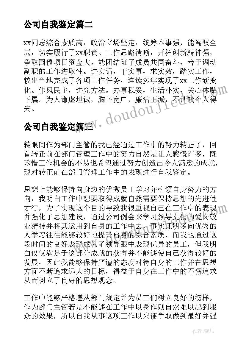 公司自我鉴定(模板10篇)