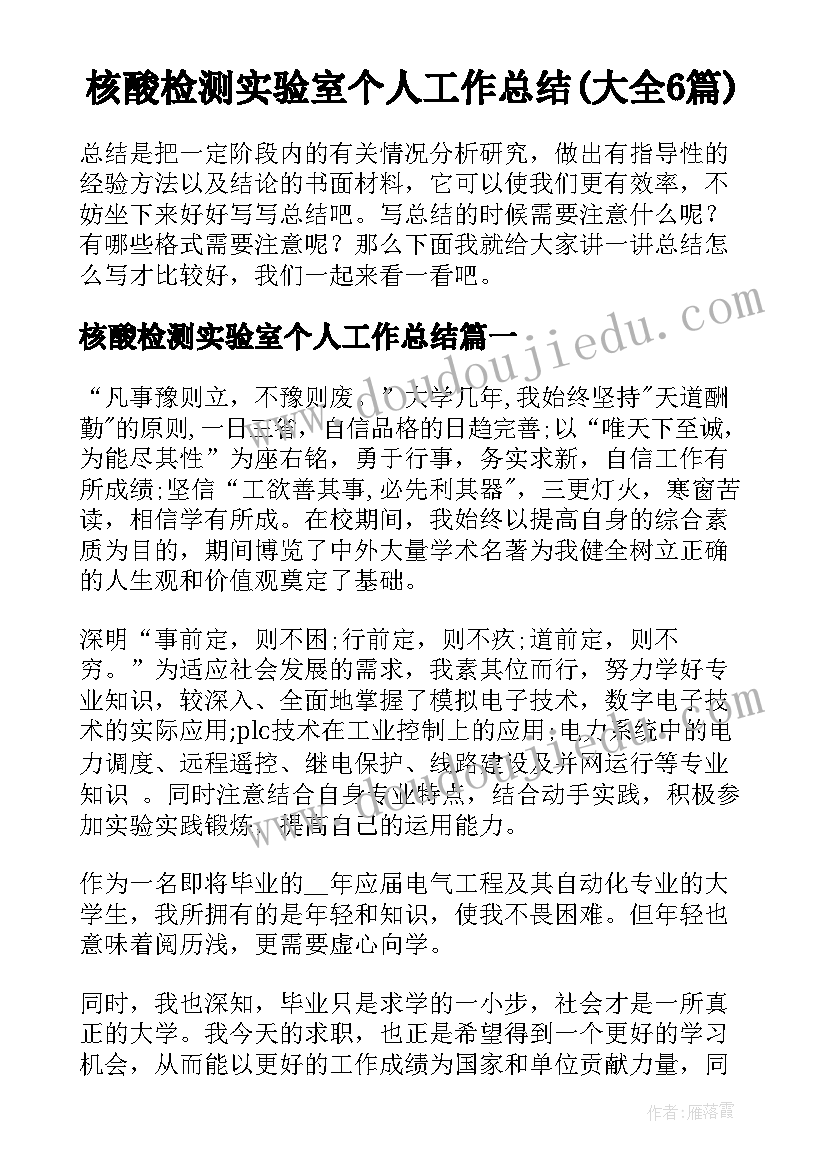 核酸检测实验室个人工作总结(大全6篇)