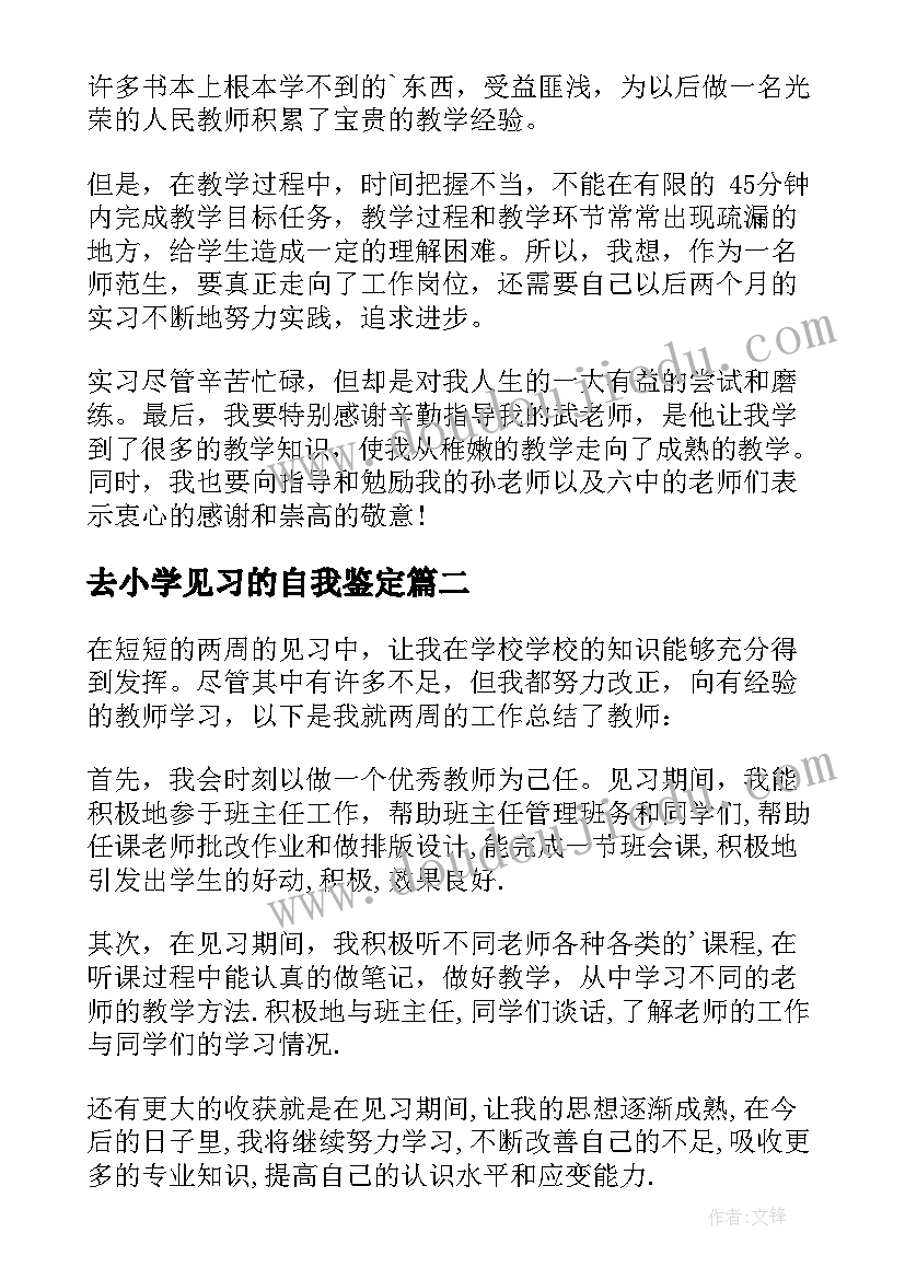 最新去小学见习的自我鉴定(优秀7篇)