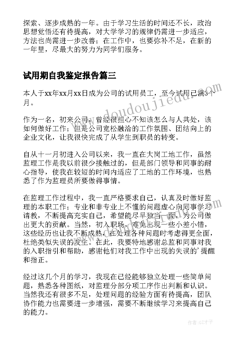 2023年试用期自我鉴定报告(通用7篇)