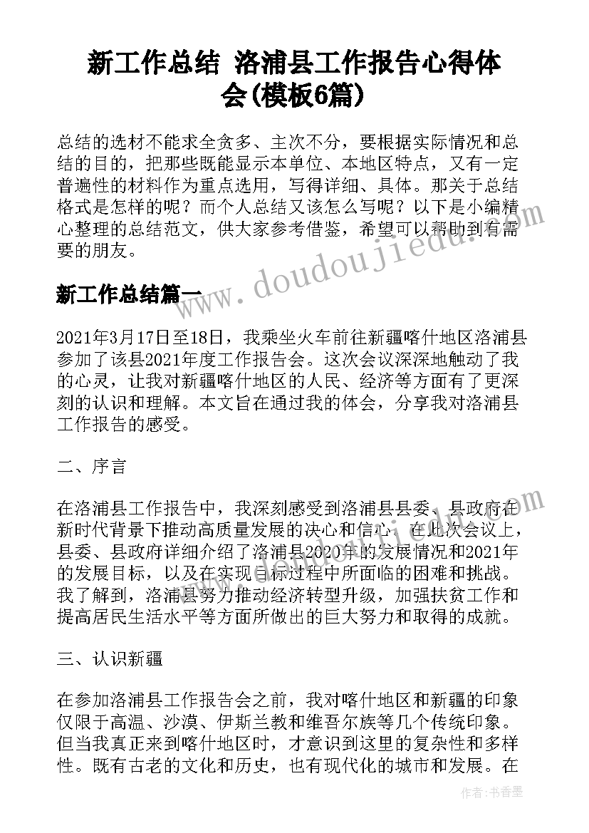 新工作总结 洛浦县工作报告心得体会(模板6篇)