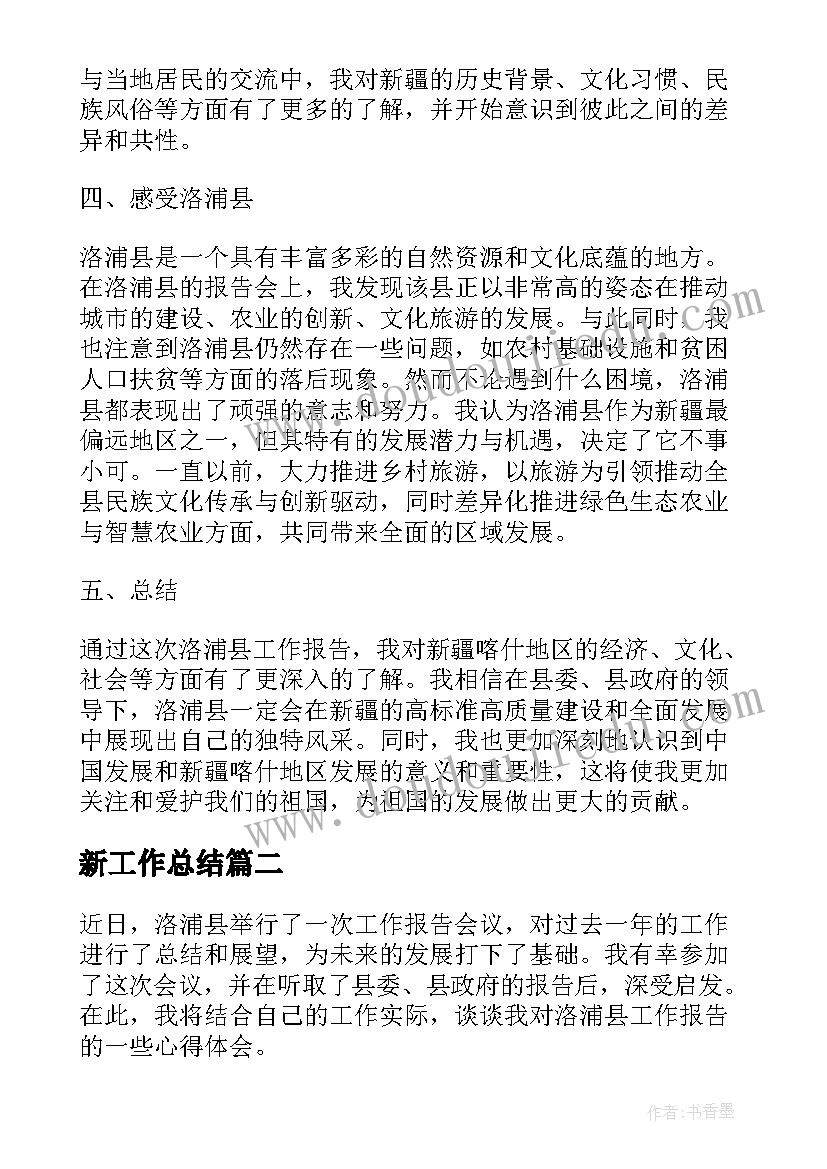 新工作总结 洛浦县工作报告心得体会(模板6篇)