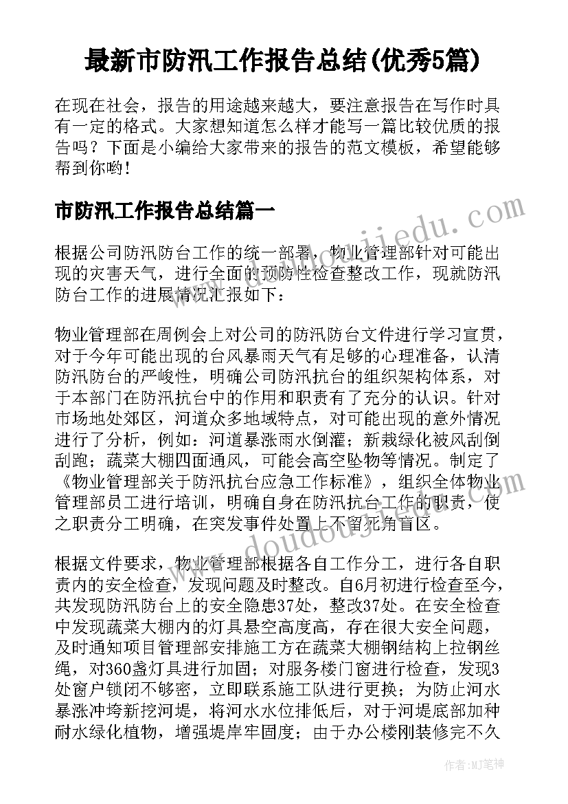 最新市防汛工作报告总结(优秀5篇)