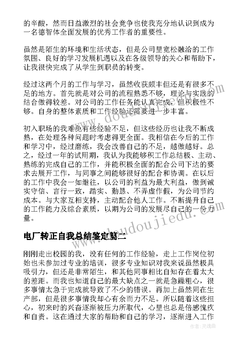 2023年电厂转正自我总结鉴定(实用5篇)