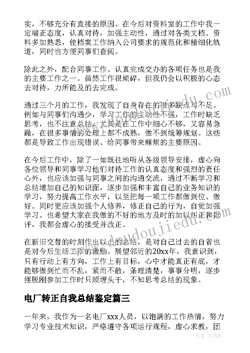 2023年电厂转正自我总结鉴定(实用5篇)