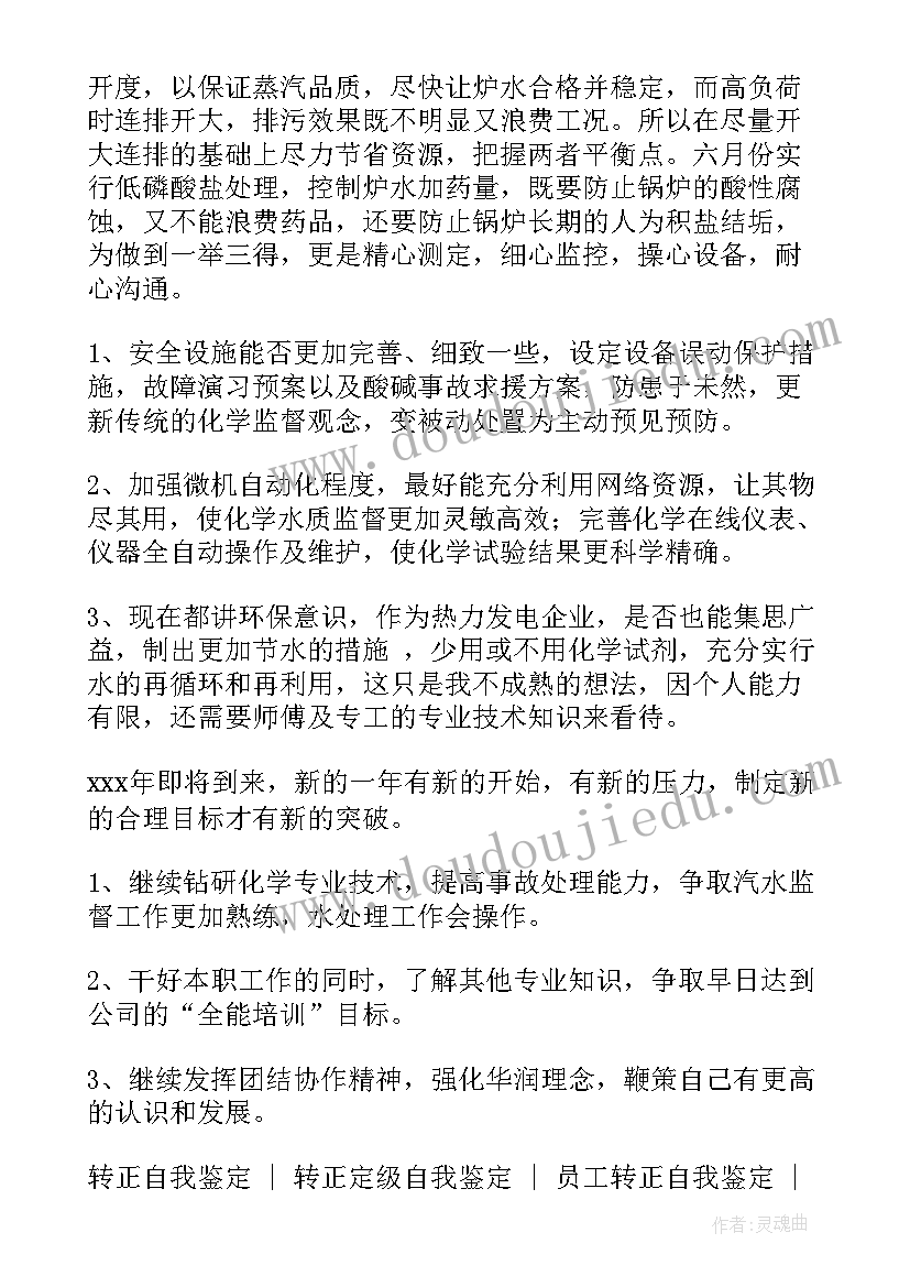 2023年电厂转正自我总结鉴定(实用5篇)