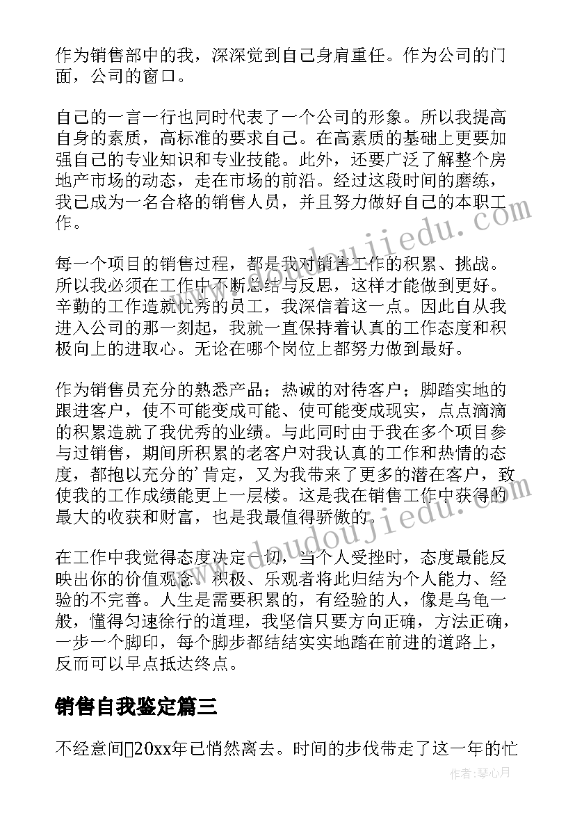 2023年销售自我鉴定(精选5篇)