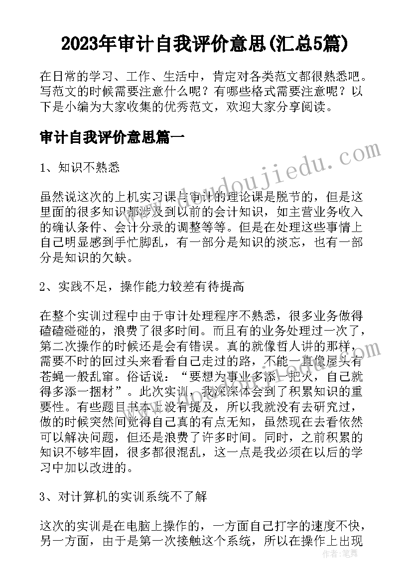 2023年审计自我评价意思(汇总5篇)