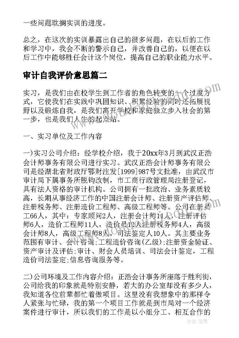 2023年审计自我评价意思(汇总5篇)