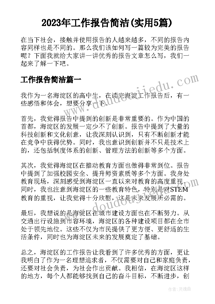 2023年工作报告简洁(实用5篇)