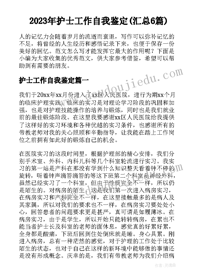 2023年护士工作自我鉴定(汇总6篇)