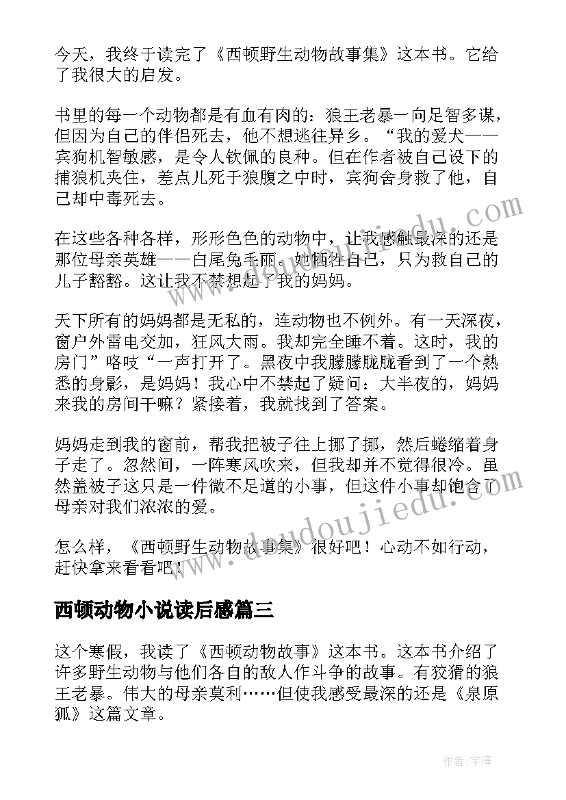 2023年西顿动物小说读后感(优秀5篇)