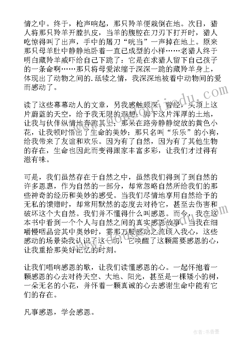 小羊以跪感恩读后感(模板6篇)