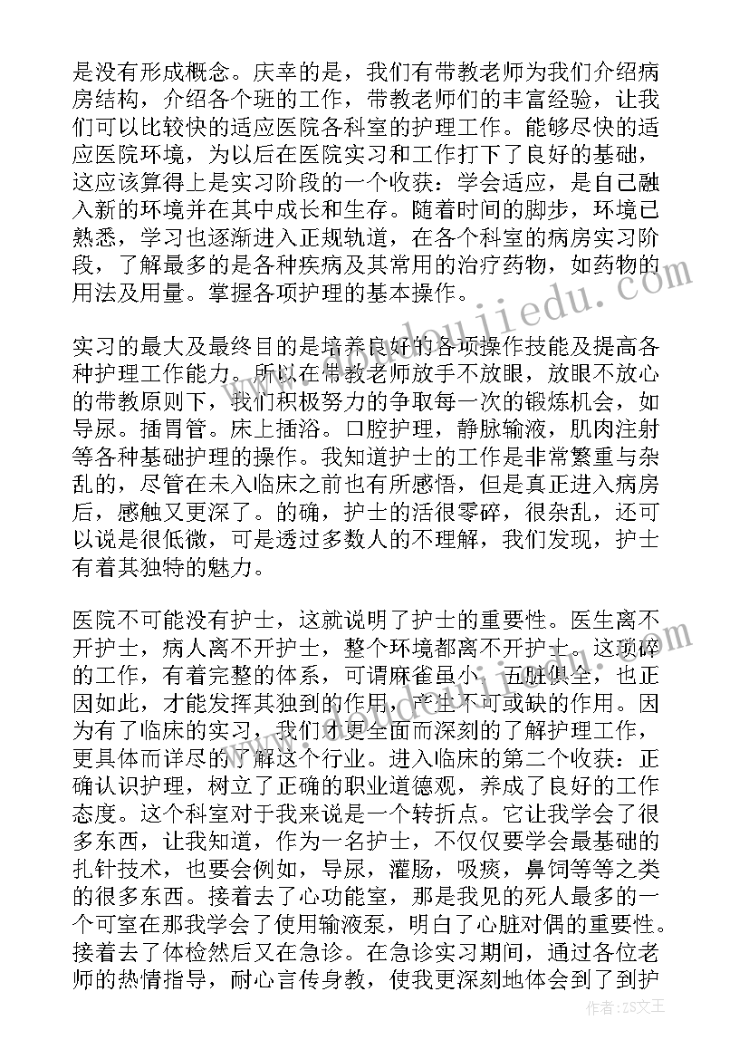 2023年护理本人自我鉴定(精选5篇)